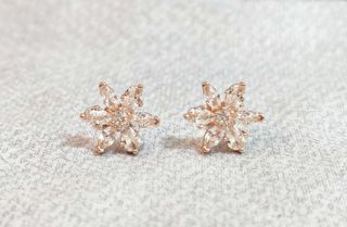 Conjunto Herbario Rosado