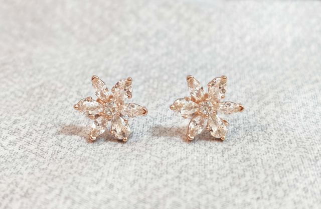 Conjunto Herbario Rosado