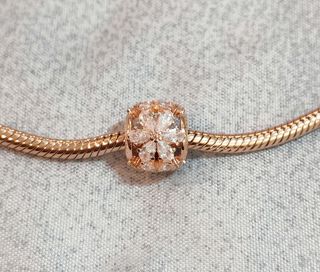 Conjunto Herbario Rosado