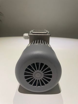 Motorriduttore Mini Motor AC244PT 210 rpm IP65