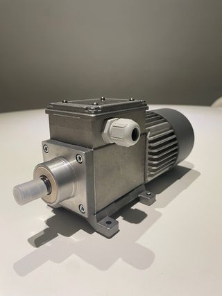 Motorriduttore Mini Motor AC244PT 210 rpm IP65