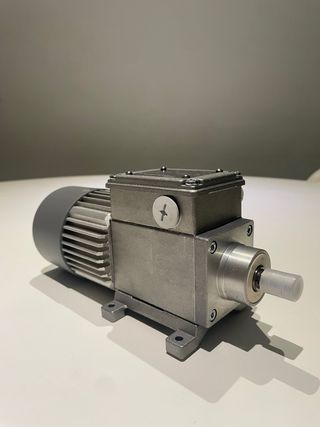 Motorriduttore Mini Motor AC244PT 210 rpm IP65