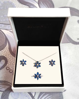 Conjunto Botánico Azul