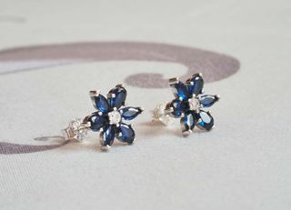 Conjunto Botánico Azul