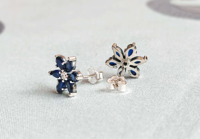 Conjunto Herbario Azul