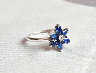 Conjunto Botánico Azul