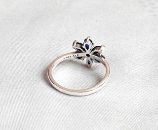 Conjunto Botánico Azul