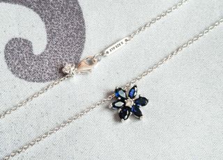 Conjunto Botánico Azul