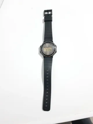 Casio W-76 Módulo 593