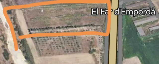 Tereno