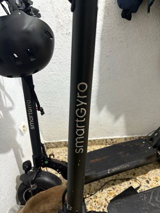 Smartgyro Dual Max Patinete Eléctrico
