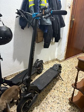 Smartgyro Dual Max Patinete Eléctrico