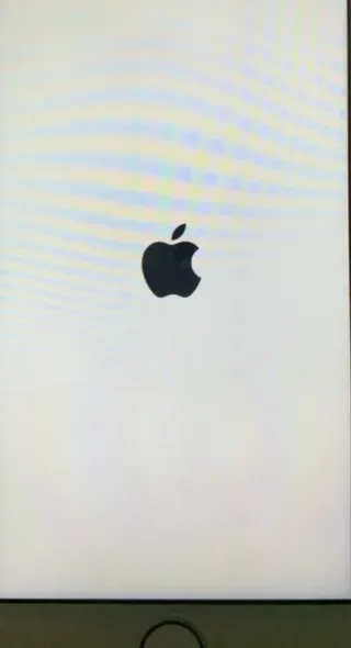 iPhone 8 Plata/Blanco para piezas