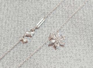 Conjunto Herbario Brillante