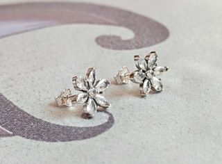 Conjunto Herbario Brillante