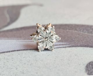 Conjunto Herbario Brillante