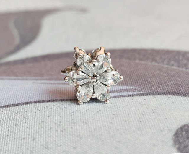 Conjunto Herbario Brillante