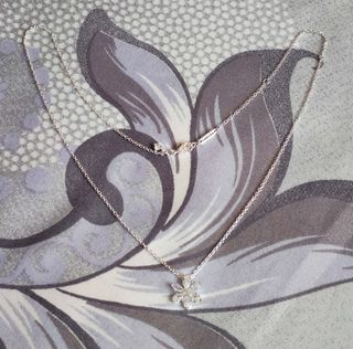 Conjunto Herbario Brillante