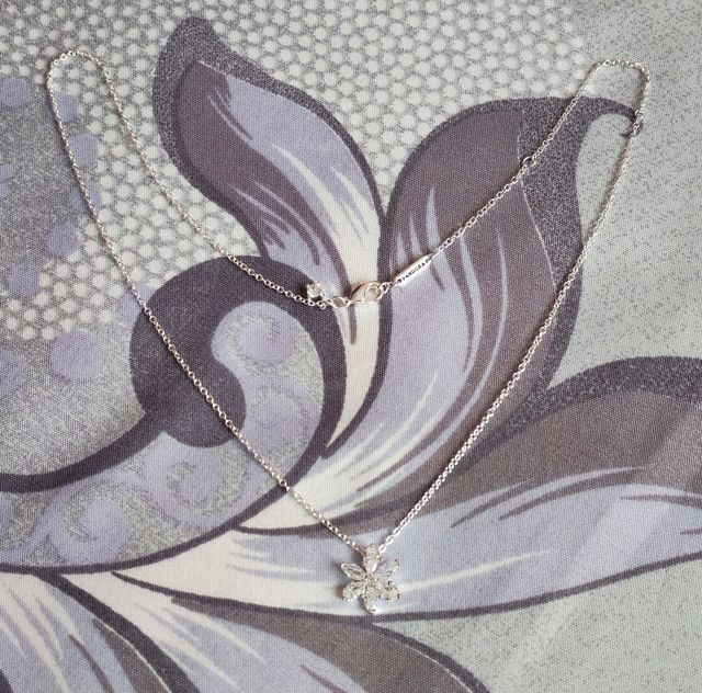 Conjunto Herbario Brillante