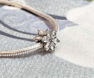 Conjunto Herbario Brillante