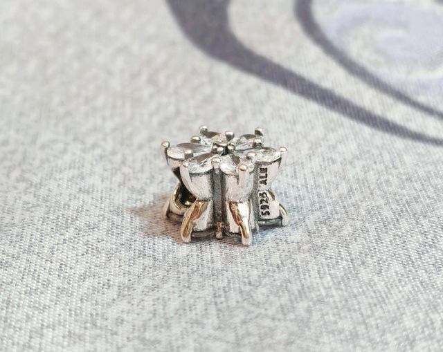 Conjunto Herbario Brillante