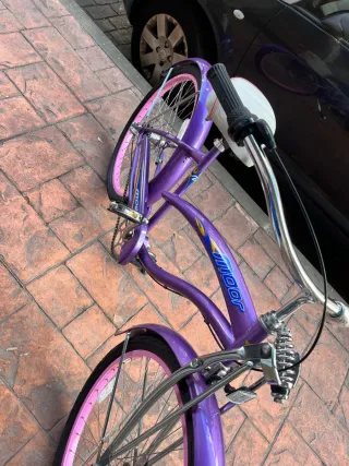 Bicicleta Moor Morada