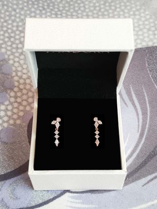 Conjunto Botánico Largo