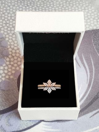 Conjunto Botánico Largo