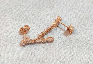 Conjunto Botánico Largo