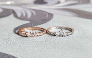 Conjunto Botánico Largo