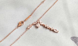 Conjunto Botánico Largo