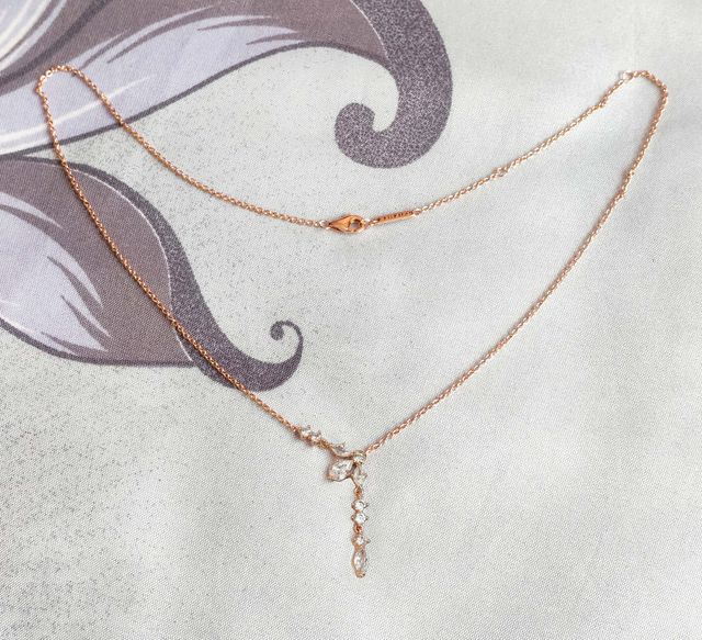 Conjunto Herbario Largo