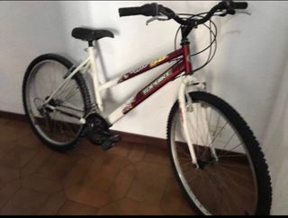 Bicicleta Multiuso Unisex Rod 26 “