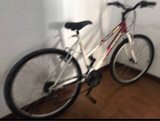 Bicicleta Multiuso Unisex Rod 26 “