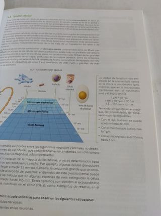 Biología 2ºBach - Revuela - 9788498561128