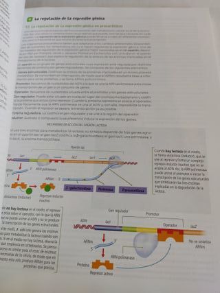 Biología 2ºBach - Revuela - 9788498561128