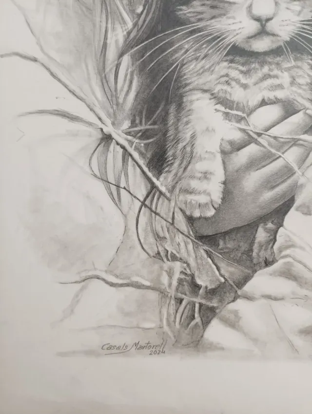 Dibujo a mano70x 50cm