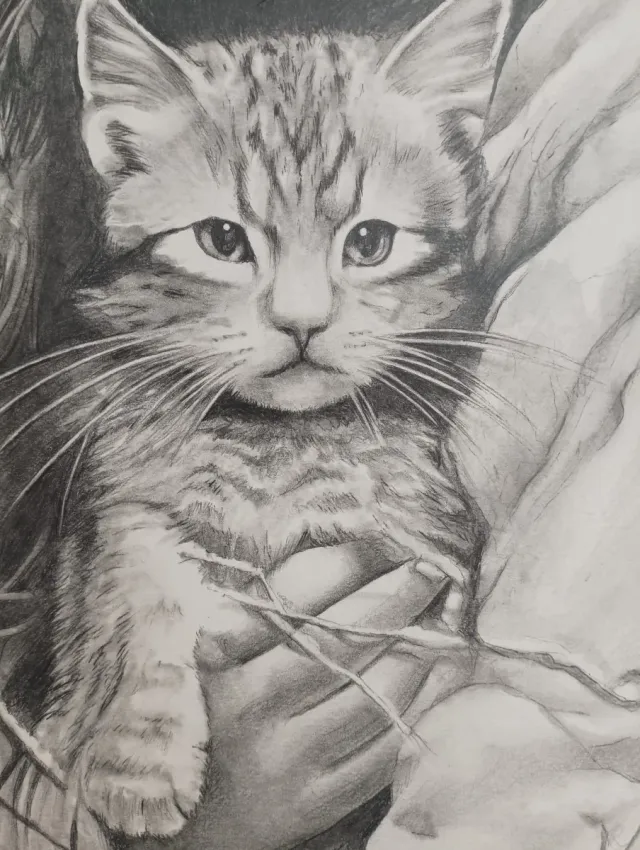 Dibujo a mano70x 50cm