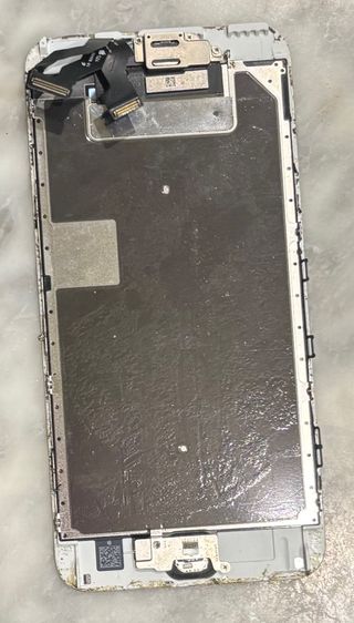 Schermo e retro per iPhone 6S