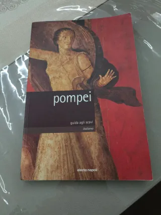Pompei : guida agli scavi