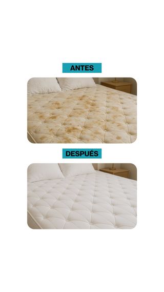 Limpieza de tapicería