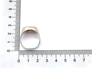 sello plata 925mm t. 22 (19,74 mm)