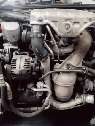 Despiece Seat Ibiza  6J Bocanegra