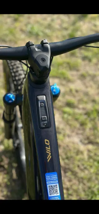 Orbea Wild M10 ebike