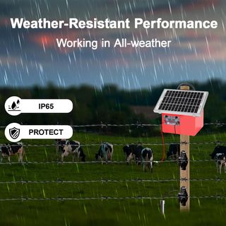 Pastore Elettrico con Pannello Solare