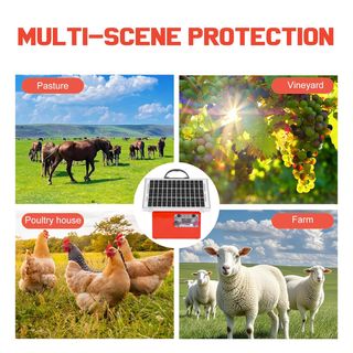 Pastore Elettrico con Pannello Solare