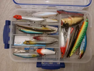 Set señuelos pesca depredadores