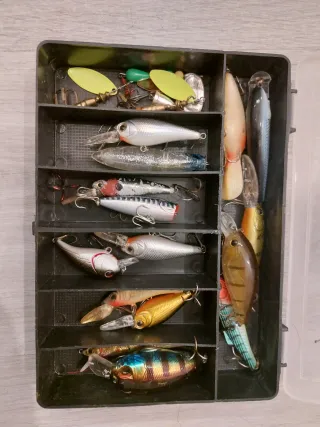 Set señuelos pesca depredadores