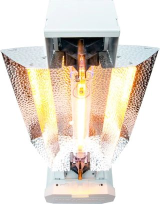 Foco de cultivo Phantom DE 1000W