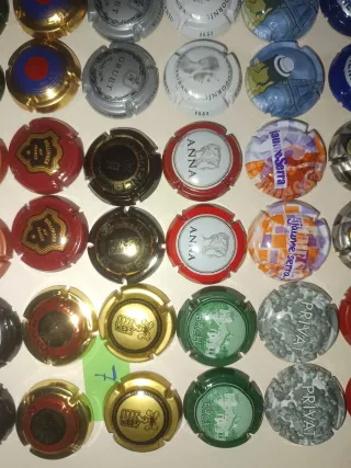 56 Chapas de Cava Colección